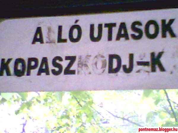 kopasz