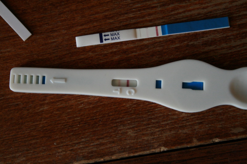 clear blue digitális terhességi test complet