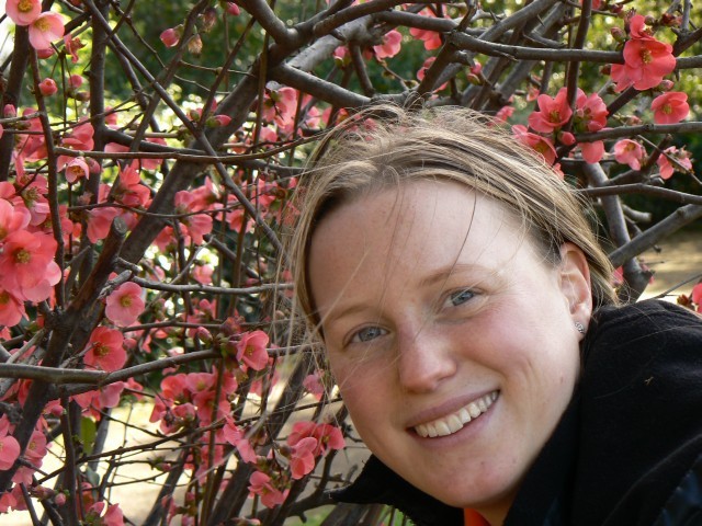 Jóba Katalin Miniatűr kert