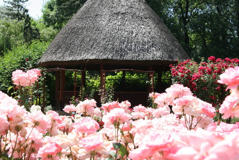 szegedi füvészkert