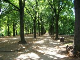 séta a parkban