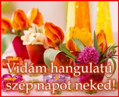 szép napot