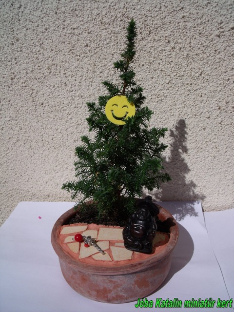 Jóba Katalin miniatűr kert variációk Buddha