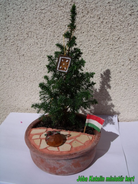 Jóba Katalin miniatűr  kert variáció Magyar
