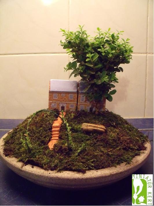 jóba katalin miniatűr kert