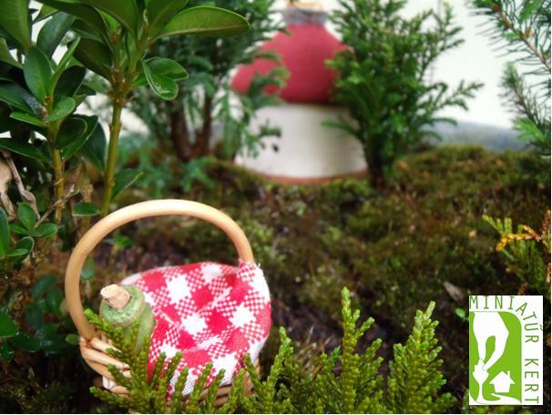 Jóba Katalin miniatűr kert Piroska