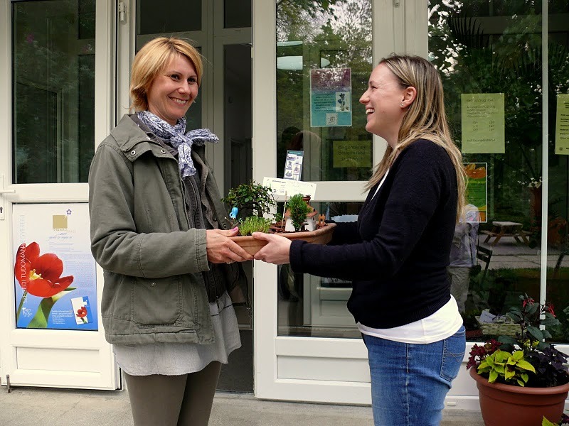jóba katalin miniatűr kert