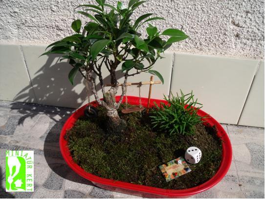 joba katalin miniature garden
