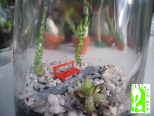 joba katalin miniature garden