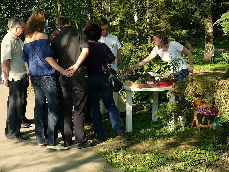 joba katalin miniature garden exhibition