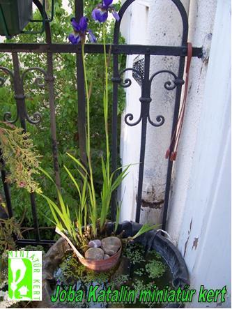 joba katalin miniature garden