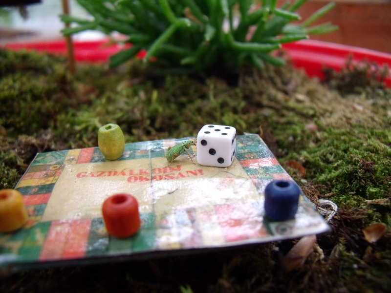 joba katalin miniature garden