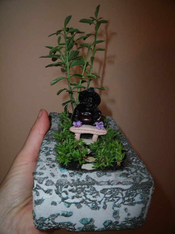 miniatűr zen kert