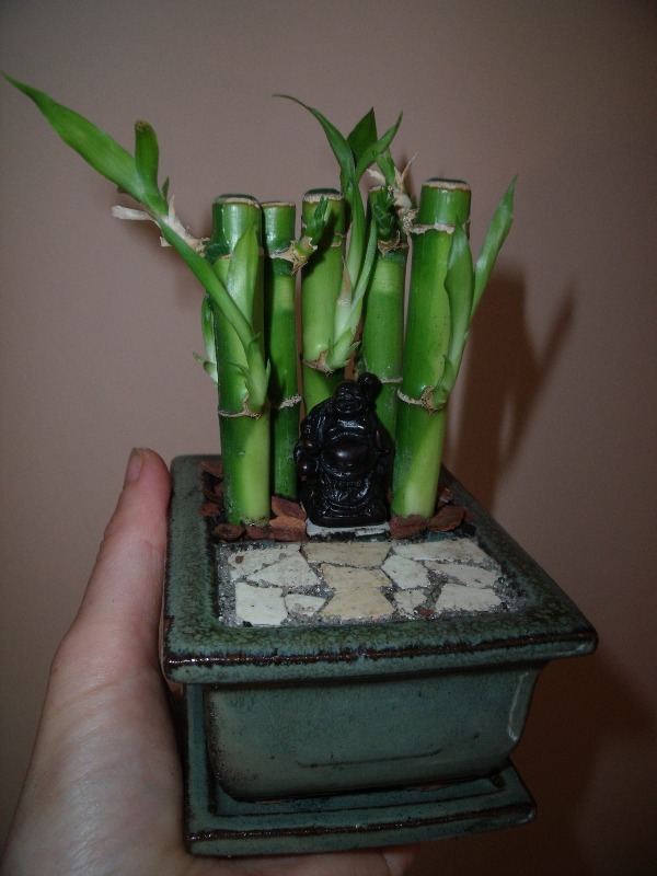 miniatűr buddha szentély