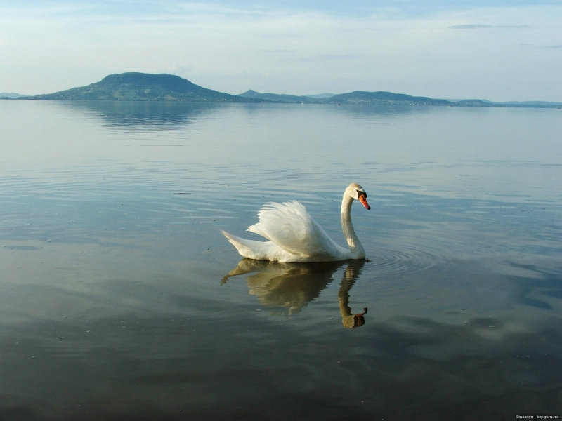 Balaton