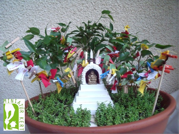 Jóba Katalin miniatűr kert