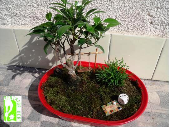 jóba katalin miniatűr kert