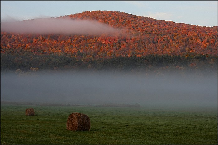 november