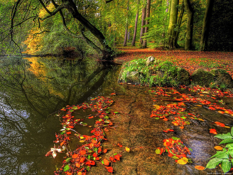 november