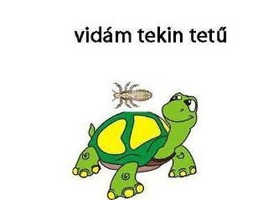 vidám-tekin-tetű
