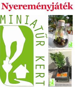nyereményjáték