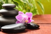 zen