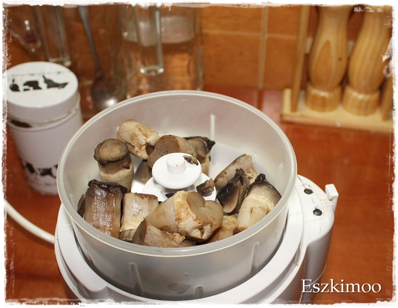 turmixolom