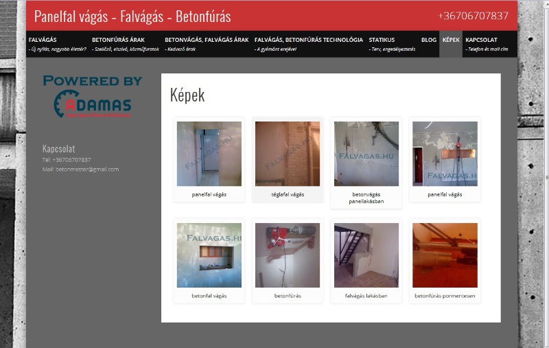 Szakszerű falvágás