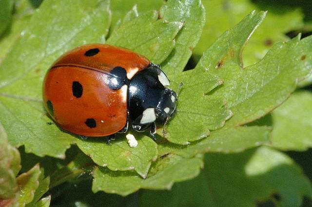 Kincsek és kacatok óvodáknak - Blogger.hu